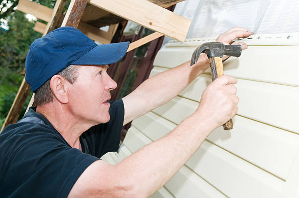 Best Aluminum Siding Installation  in Carroll, IA