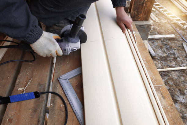 Best Siding Painting and Refinishing  in Carroll, IA