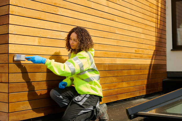 Best Storm Damage Siding Repair  in Carroll, IA